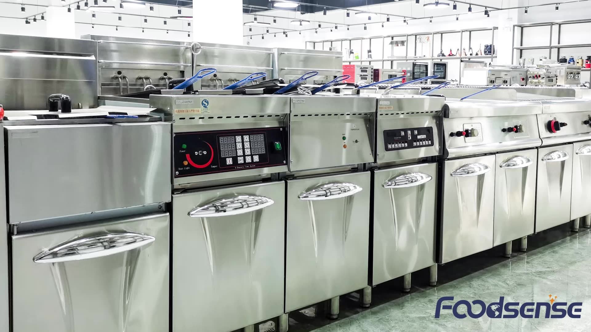 Foodsense Electric Food Trolley Heating Food Holding For