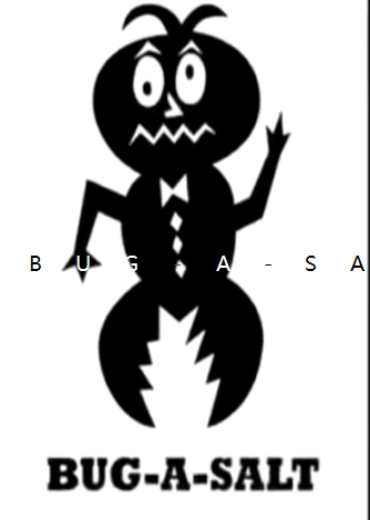 BUGASALT外贸玩具商行的LOGO