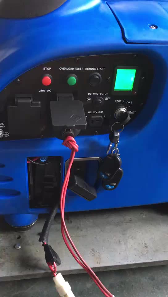 Pure Sine Wave Ac Electricity Output Rv Camping Generator