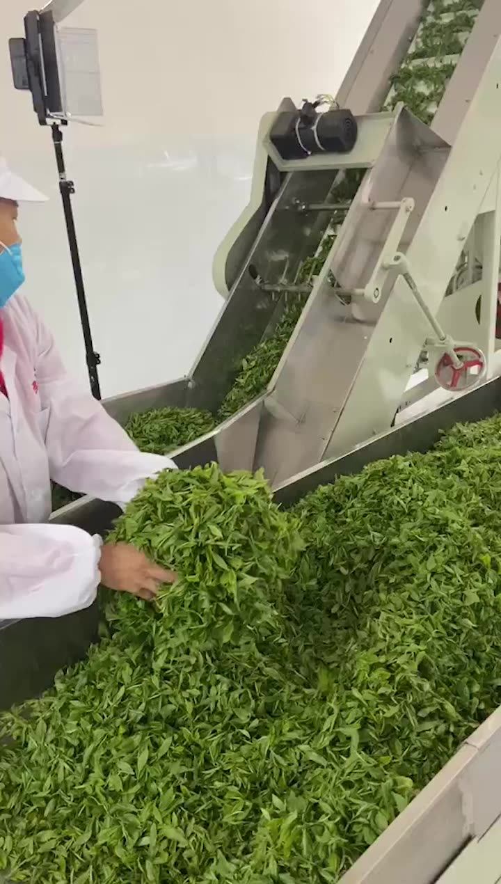 Factory Price Professional Electric Green Tea Leaf Processing Machine