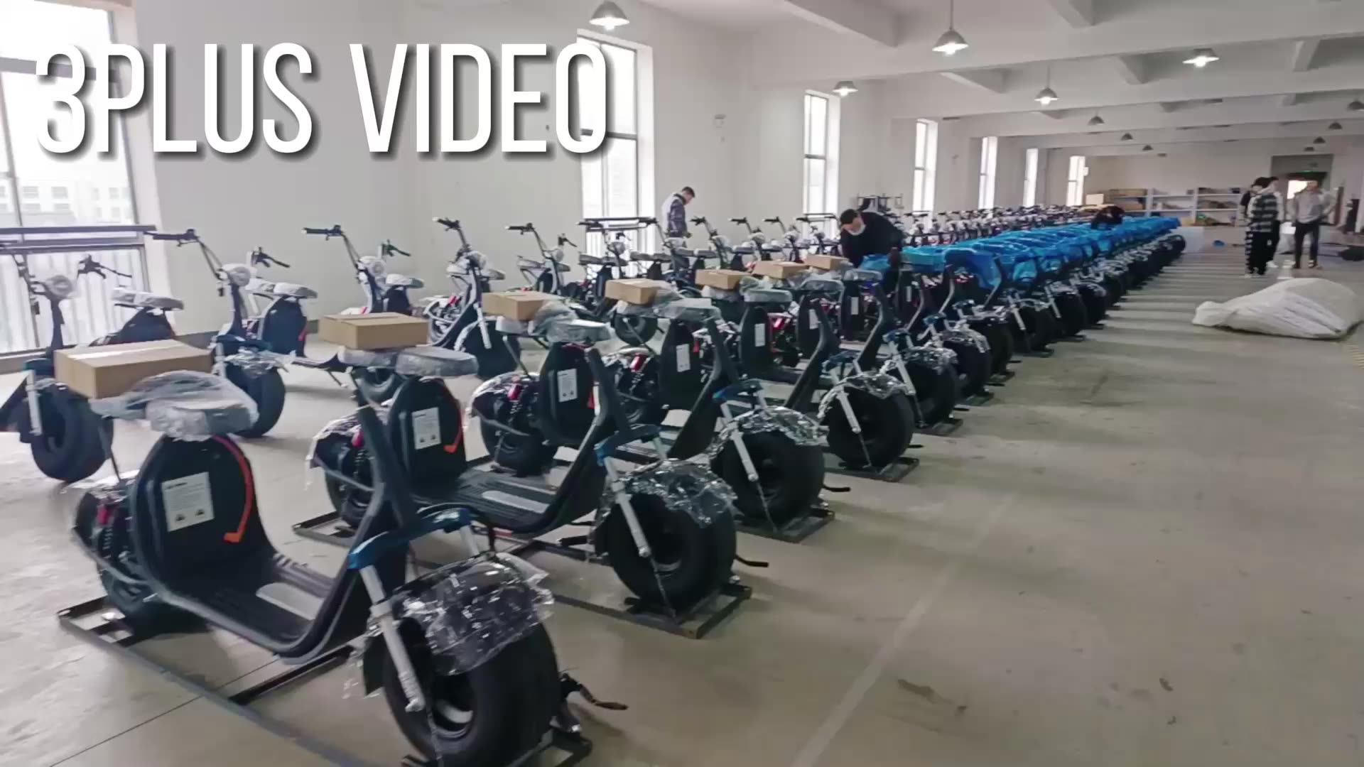 3pluscoco 2022 Long Range 1500 W Citycoco With Golf Bag Holder And