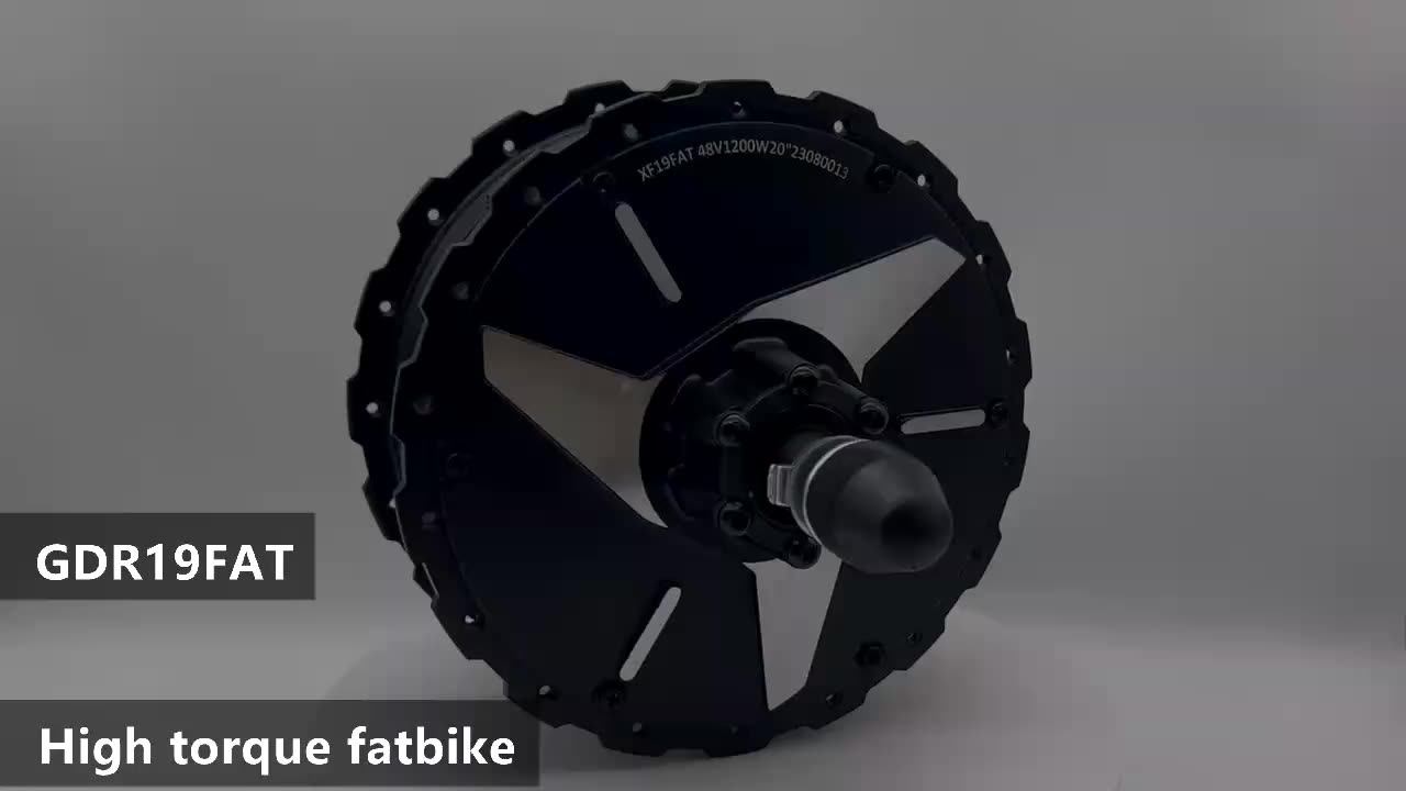 MXUS High Torque Gear Rear Hub Motor for Fat Tire Electric