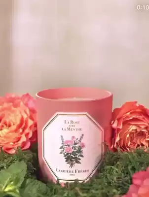 France Carriere Freres Valentine's Day Limited Candle Mint Rose Fire-free Rattan Incense diffuser