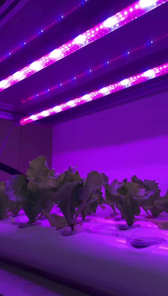 1.2m Aluminum Tube High Ppfd Plant Grow Light Led Grow Light Buy High