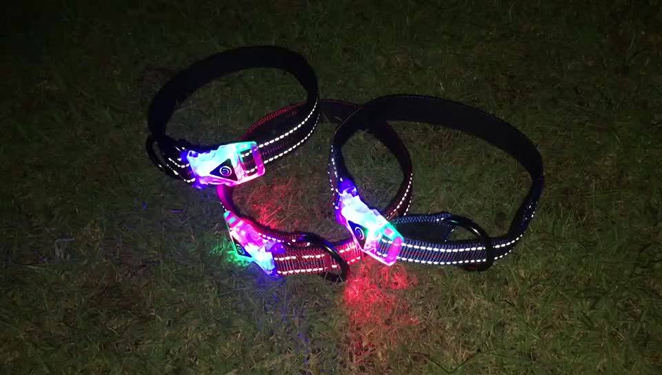 Reflective Safety Custom Glow In The Dark Dog Collar Buy Glow In The