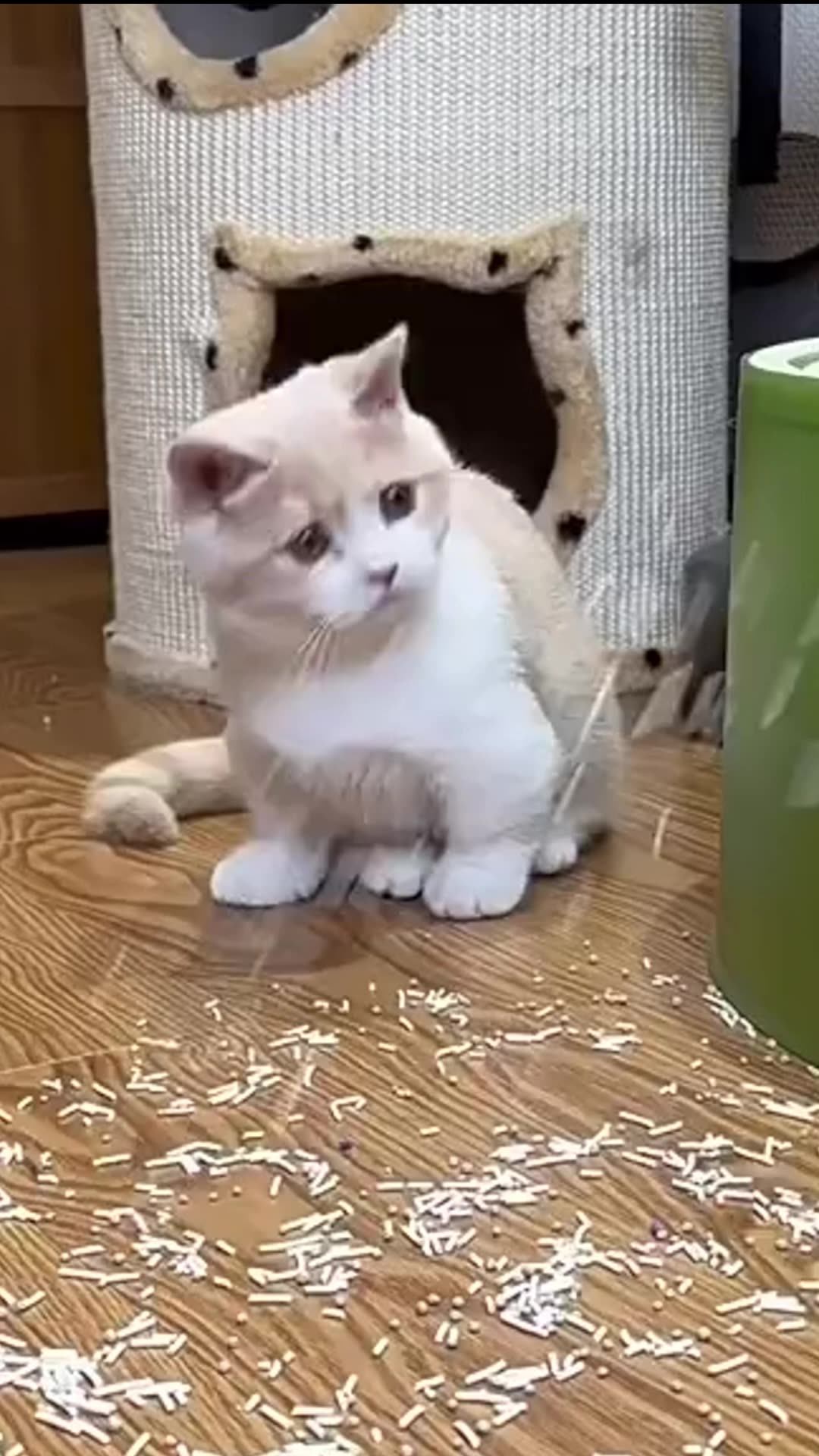 Hot Sell Eva Water Proof Easy Clean Doublelayer Cat Litter Trapper