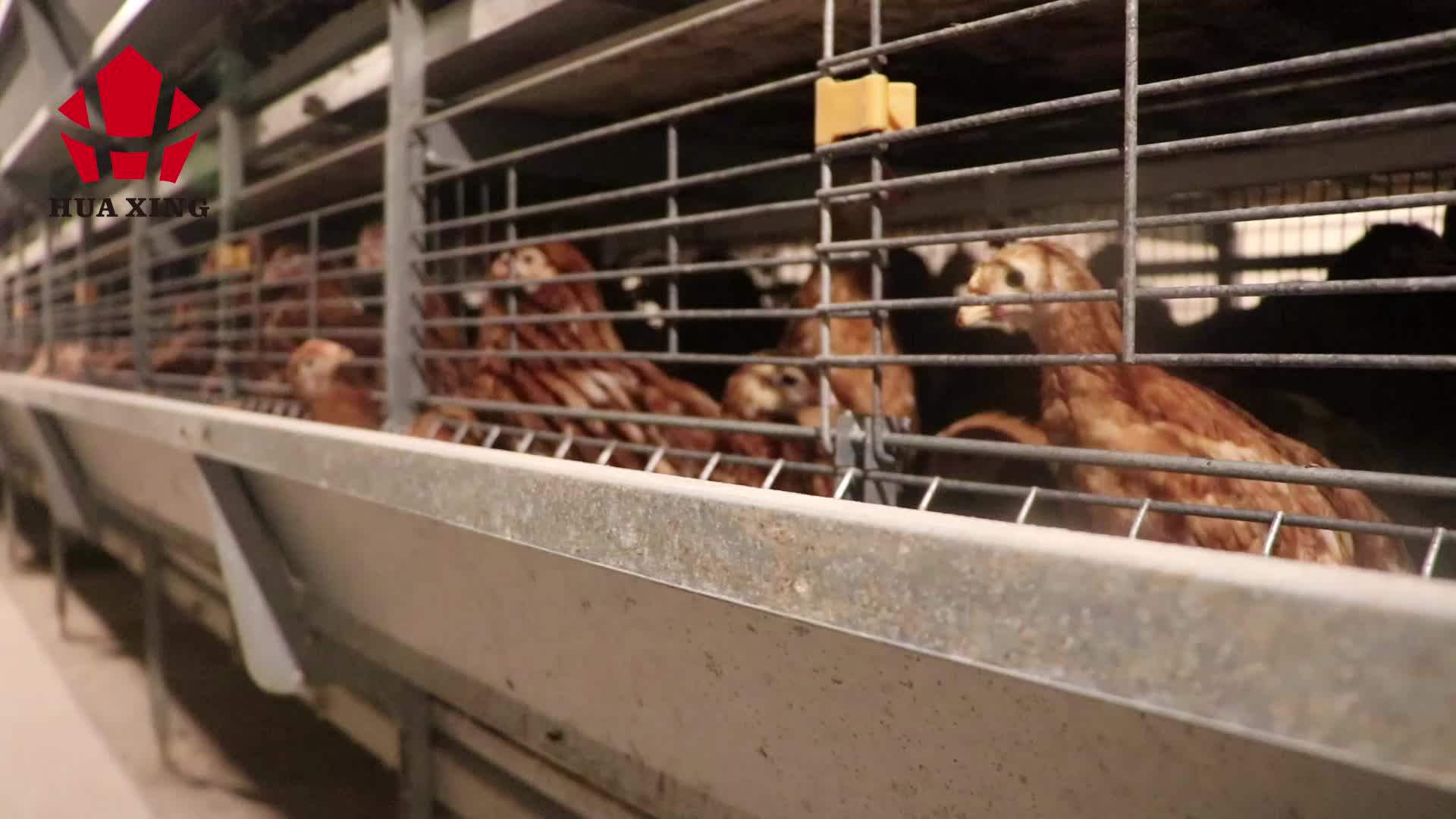 Density Galvanized Poultry Chicken Coop/battery Hen Cage Buy Poultry