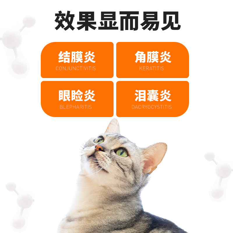 揭秘：为何猫咪总是喜欢高处不胜寒？ Cats' High Places