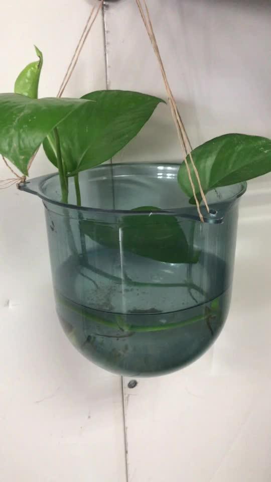 Vacuum Forming Fence Small Plastic Flower Pots Customized Flowerpot On