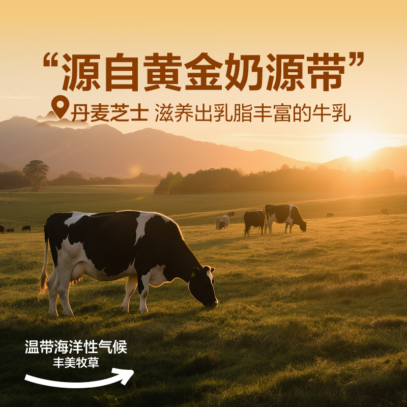 岩烧芝士脆饼干：薄脆间的日式美味新潮流