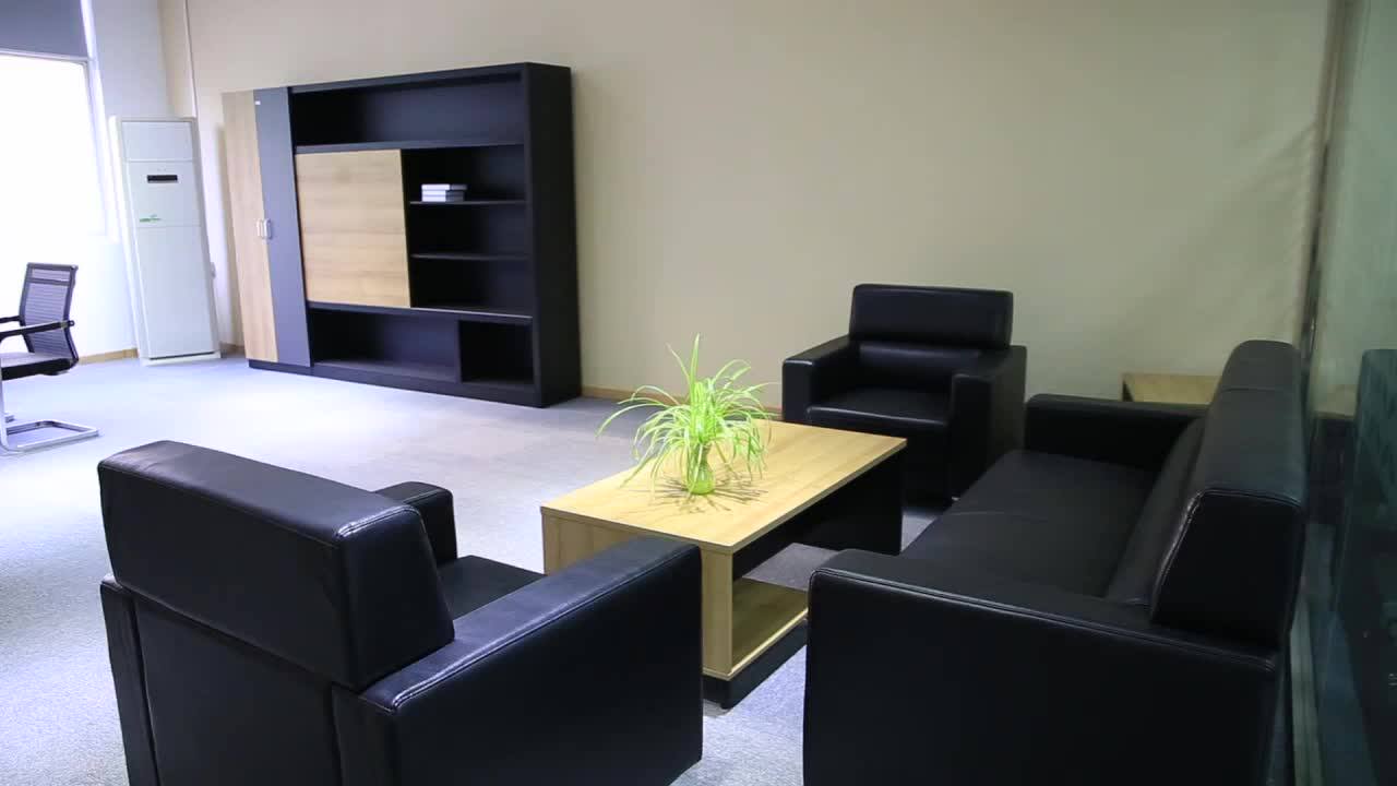 Living Room Genuine Leather Sofa Small Office Reception Modern Office