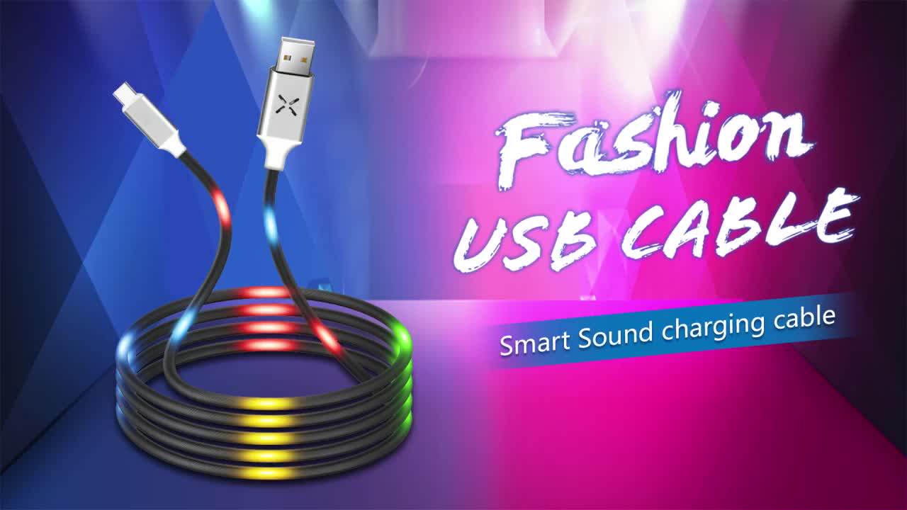 5v 2a Micro Usb Cable Voice Control Led Wire Usb Charger Sync Data