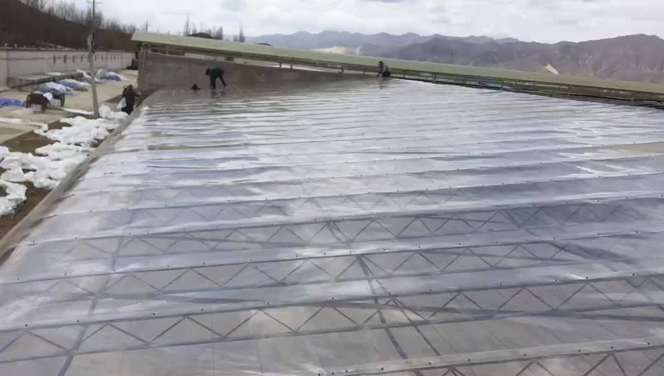 Large Plastic Film Multispan Greenhouse Poly Covering Greenhouse Buy