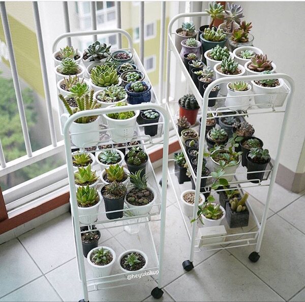 Succulent flower rack indoor simple floor-to-ceiling living room multi-layer mobile iron hot pot rack barbecue rack with wheels