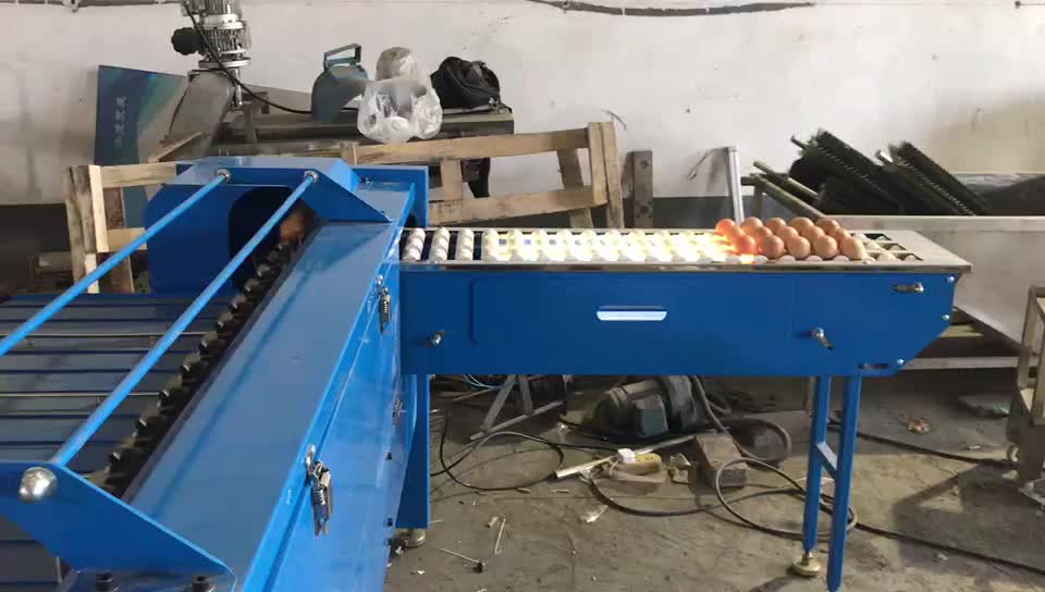 5 / 7 Levels Automatic Egg Grader / Egg Grading Machine / Egg Sorting