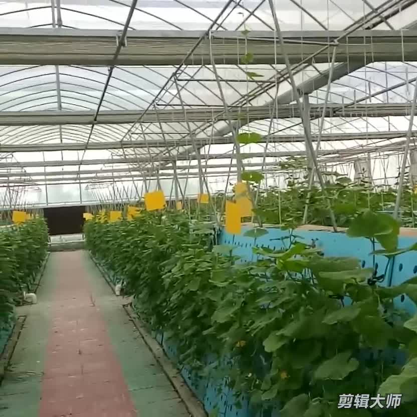 affnan's aquaponics: siphon - revised