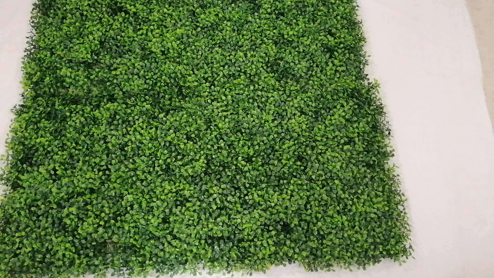 Artificial Boxwood Hedge Mat Fence Vertical Green Wall Panels Pared De Follaje Verde Para Tu