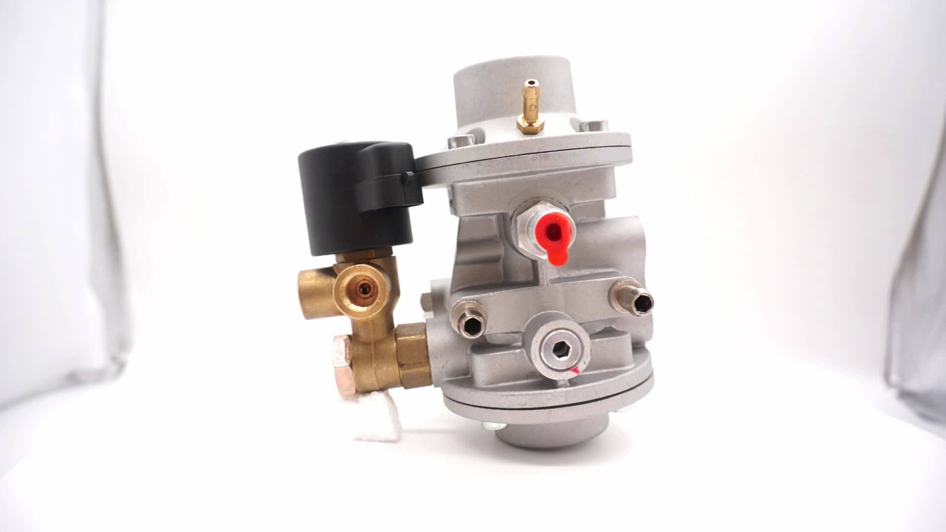 Brc Cng Conversion Kit Auto Spare Parts Cng Sequential Regulator Gas