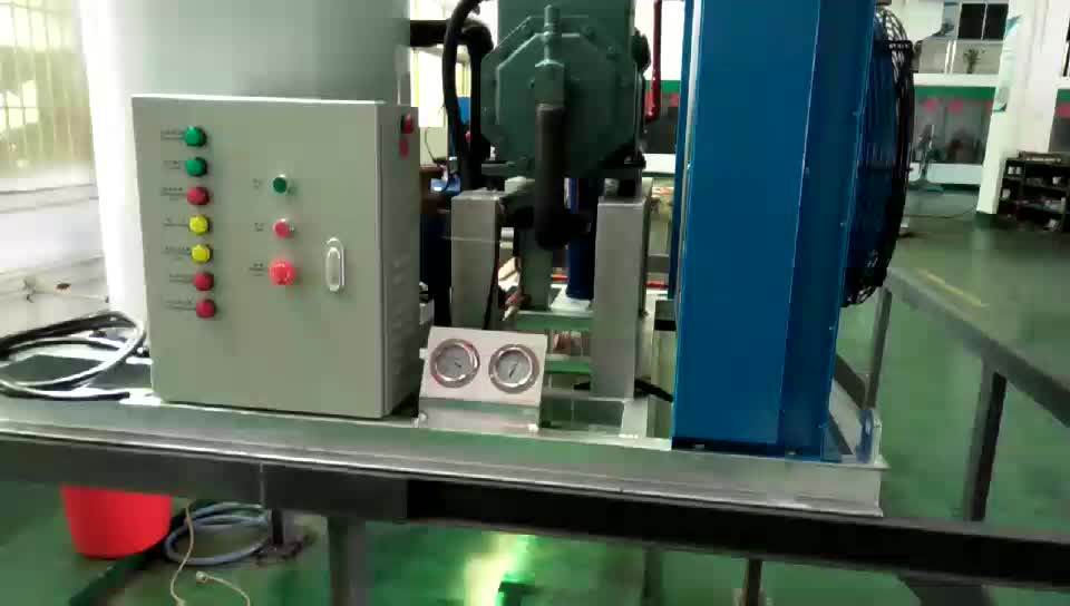 Commercial Ice Machine 500kg/day For Supermarket Fish Preservation