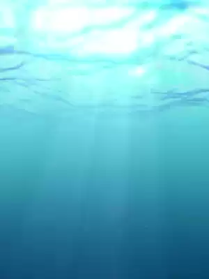 Delivery brother riding artifact mobile phone waterproof bag Swimming diving drifting transparent waterproof sealed dustproof touch screen