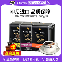 (Self-operated) Indonesian cat poop coffee beans Bali Mandheling civet cat coffee freshly roasted hand-brewed coffee