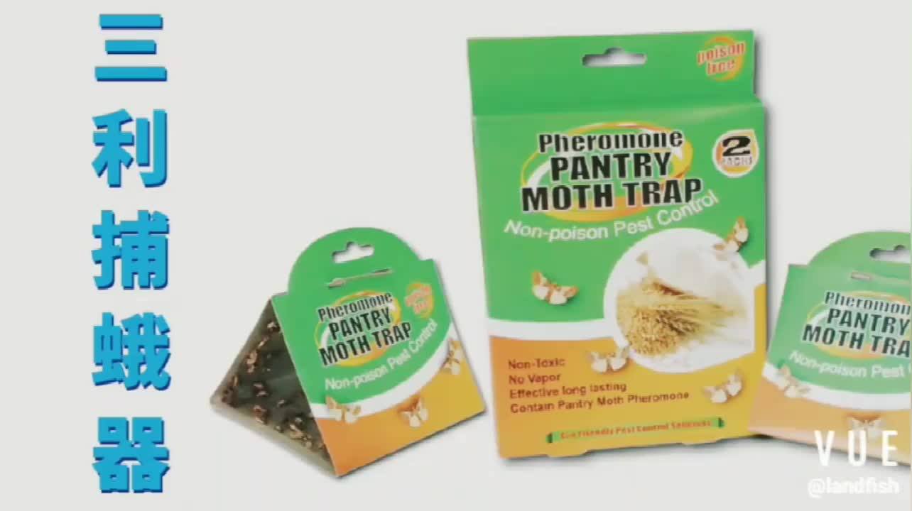 Amazon Hot Selling Moth Trap Pheromone Highefficiency Moth Killer