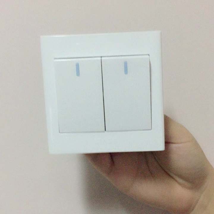 Ac Power 2 Gang Electrical British Standard Light Switch Buy British