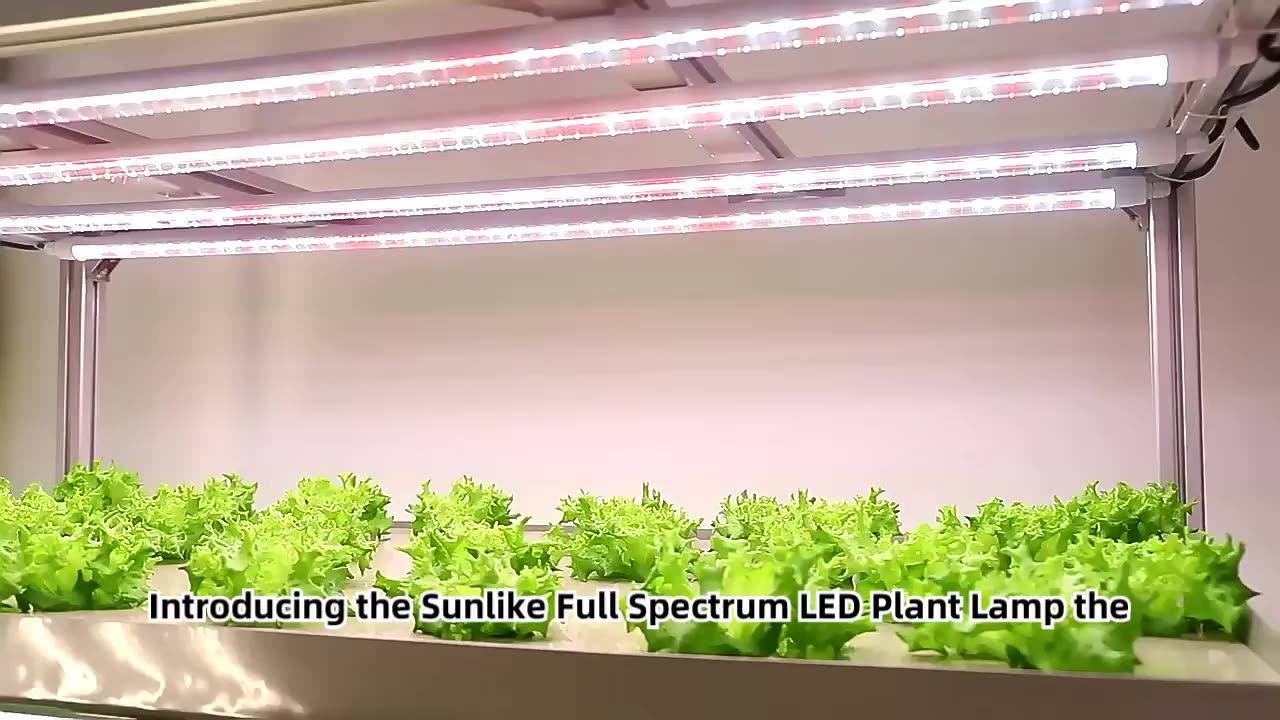 Vertical Farming Greenhouse Growing Light Full Spectrum Sunlike Led Grow Light T8 Tube For
