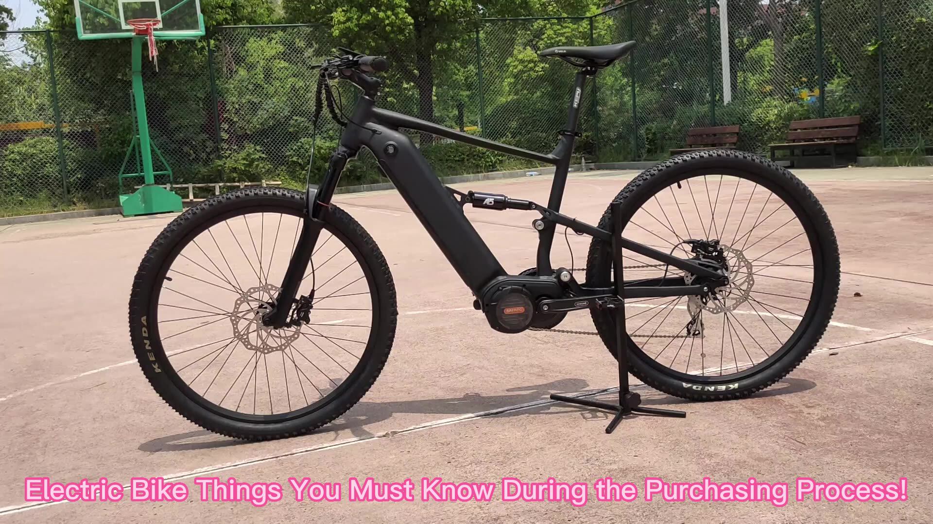 Mid Drive 1000 Watt Electric Mountain Bike Europe Man E Bike Elektro