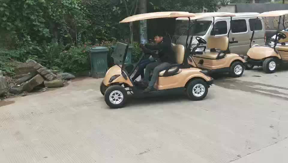 China Mini Cheap Gas Powered Golf Carts With Two Seats For Sale/300cc