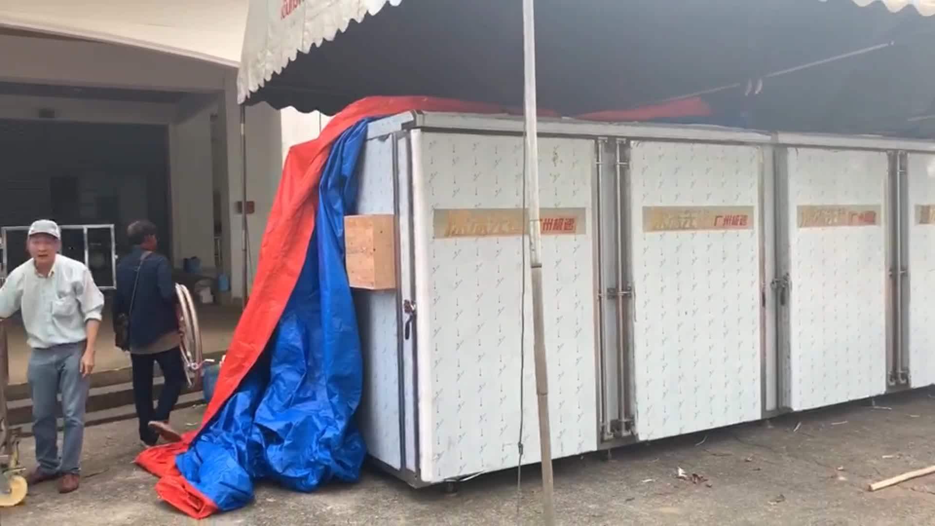 Easy Installation Quick Freezing Iqf Freezer Malaysia Durian Liquid