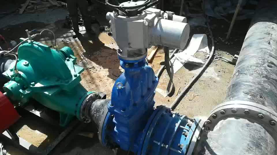Booster Pumps Electric Water Horizontal Split Case Centrifugal Pump