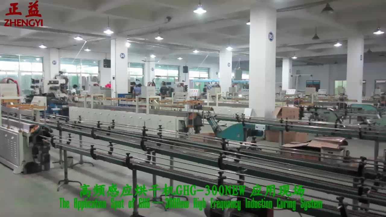 Zhengyi GHG300NEW High Frequency Induction Curing System (Induction