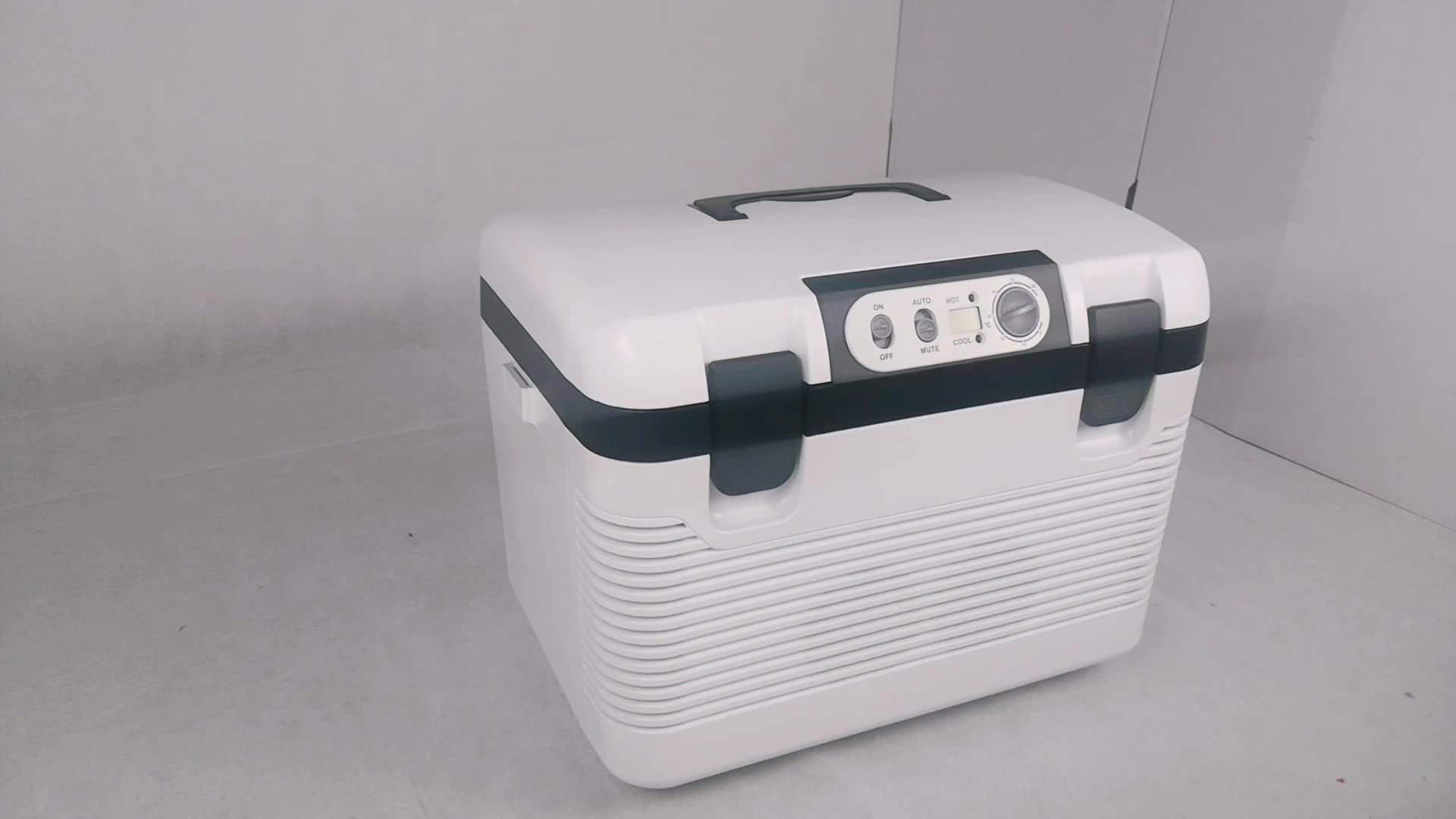 peltier thermoelectric cooler 12v car fridge with temperature display