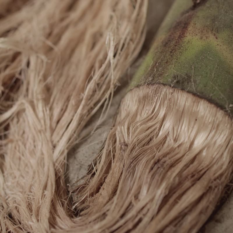 High Quality Sustainable Banana Fiber Best Use For Making Paper And Wet