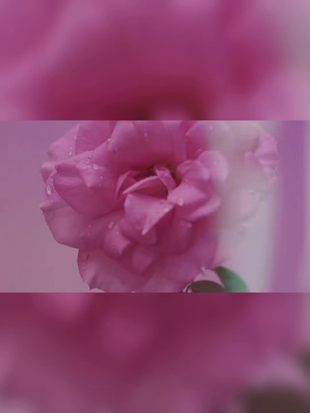 恋之呼吸字体素材图- 抖音, image size:1080x1440