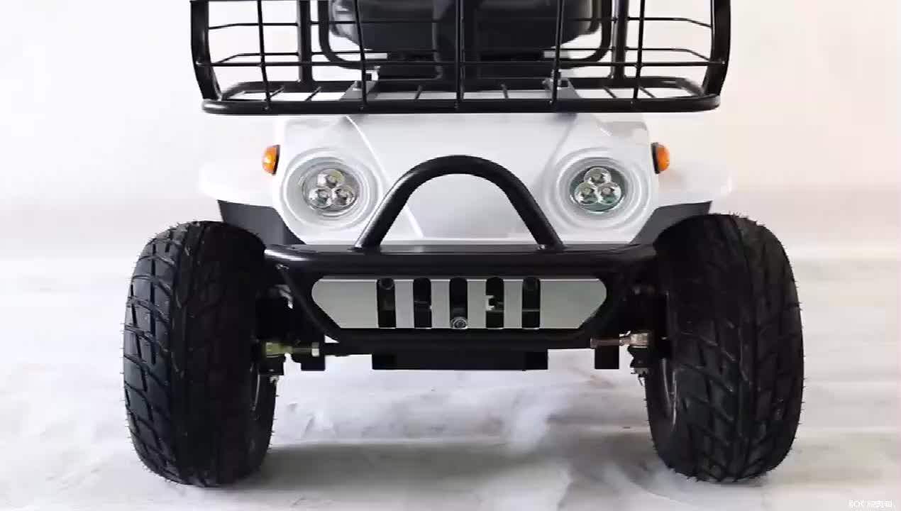 Design For Europe 2 Seater Electric Car Philippines Visit Factory Order