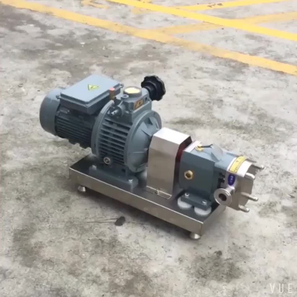 D3a Lobe Rotor Peanut Oil Pump Molasses Pump Stainless Steel Food