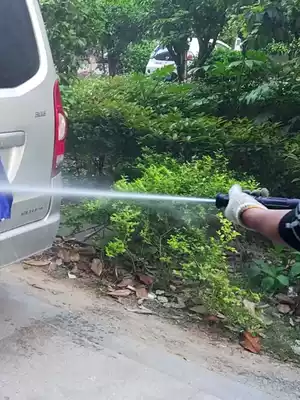 Guanzhou brand high pressure cleaning machine car washing brush water gun 280 558 type special water column Fan Duck billed water gun