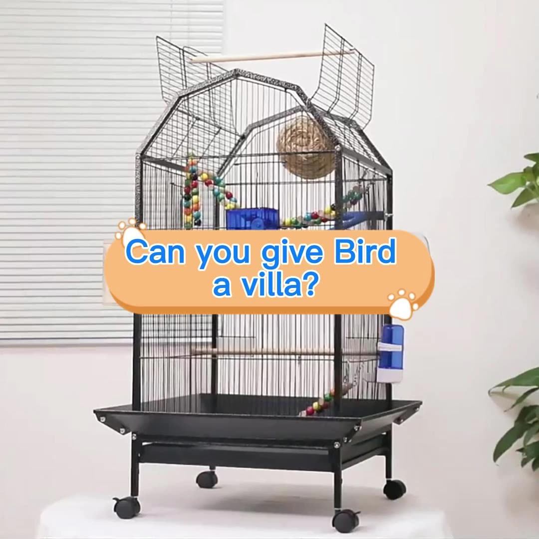 Wholesale Metal Bird Feeder Water Bird Cage With Stand For Parrots