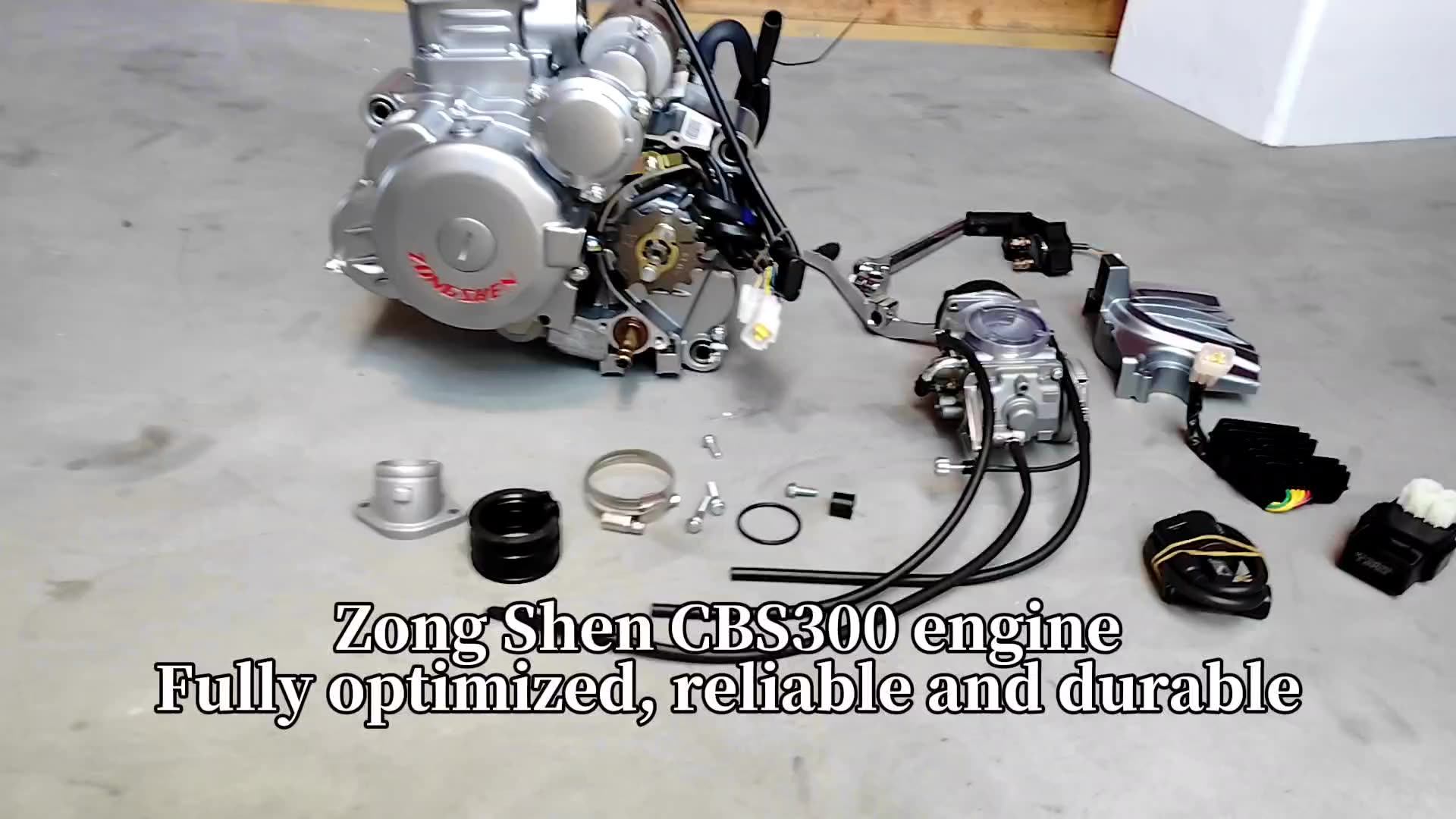 ズン Zongshen CBS300 300cc Zs174fmn Water Cooled 4-Stroke 1 Cylinder
