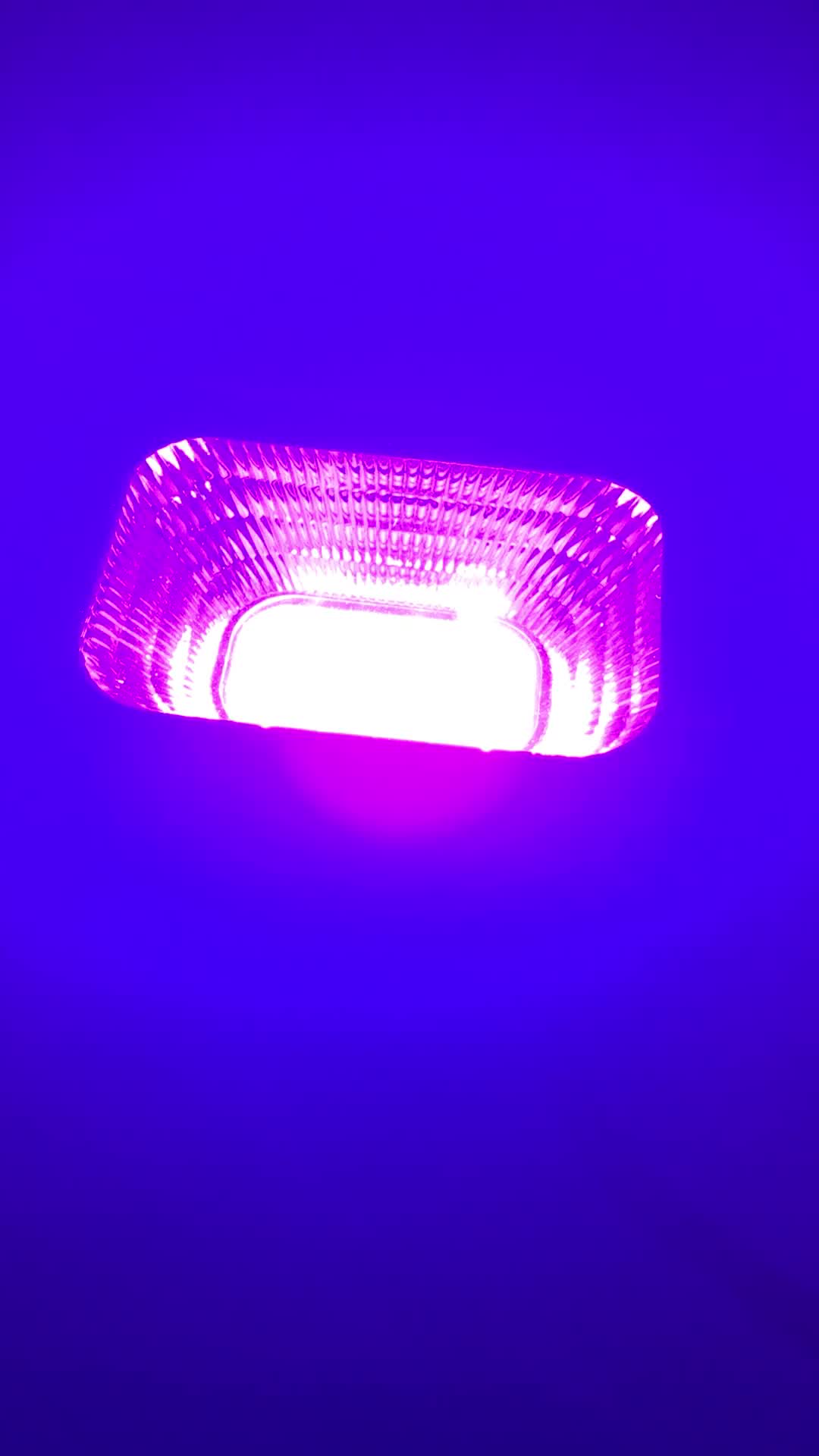 Special Effects Blacklight Stage Performance Ip66 Waterproof 20w Uv Led Flood Light Black Light Special Effects Blacklight Stage Performance Ip66 Waterproof 20w Uv Led Flood Light Black Light