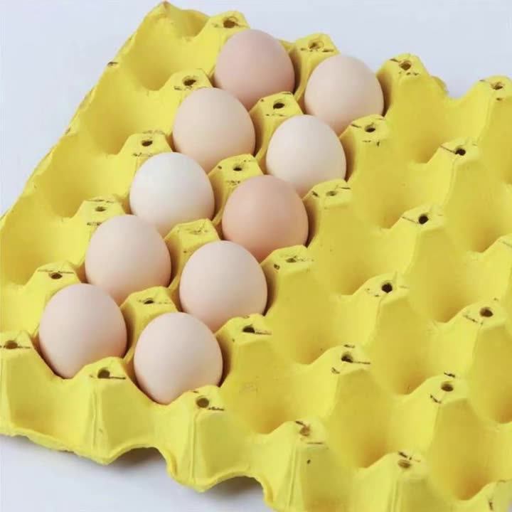 Egg Cartons Crates 30 Cell Pulp Fiber Egg Flats Chicken Paper Egg Tray