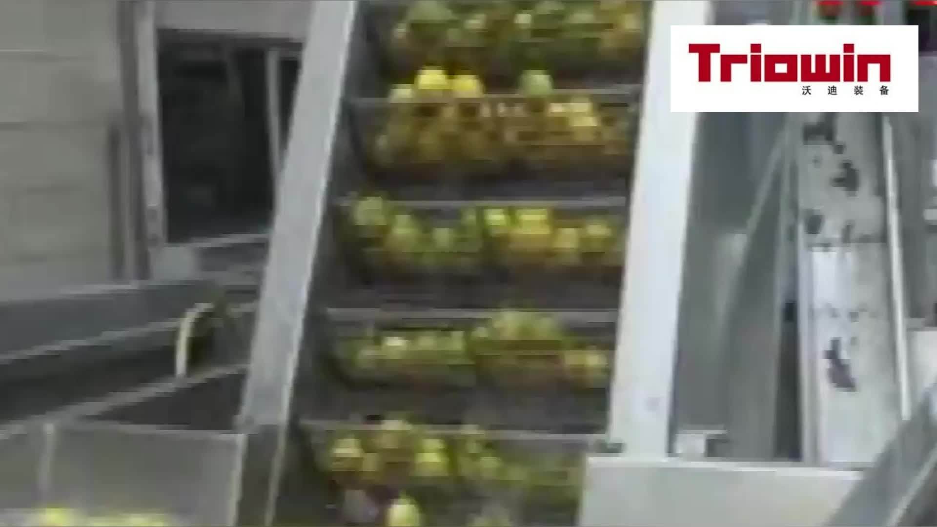 New Industrial Citrus Juice Juicer Extractor Machines Lemon Juicer