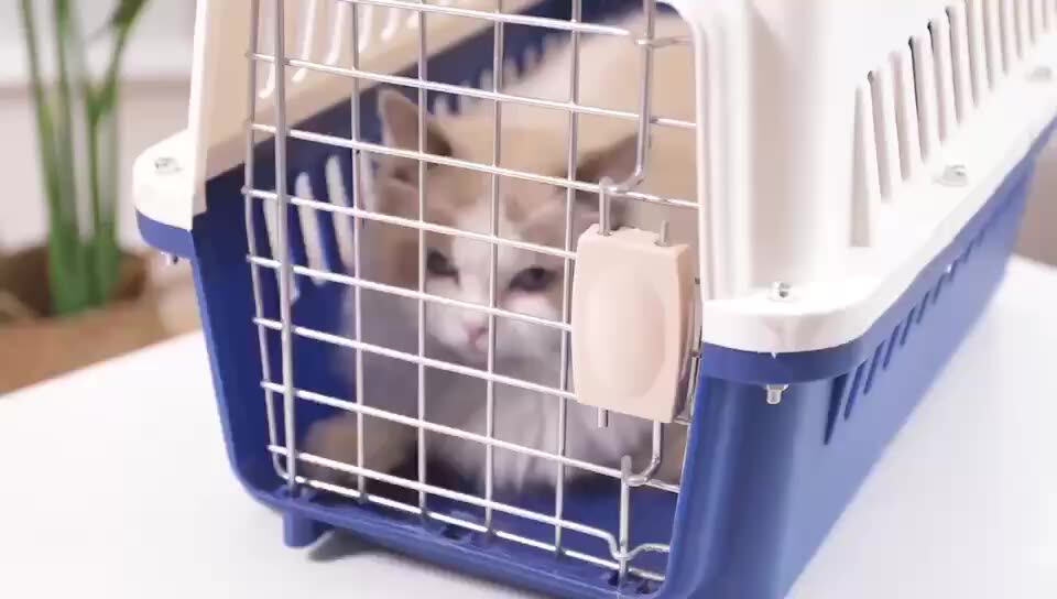 Qmg Airline Approve Travel Carrier Case/pet Flight Cage/pet Transport