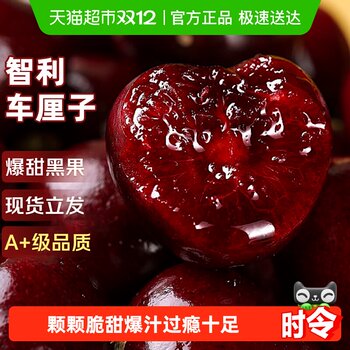 Spot chilean cherries 4j grade extra large fruit gift box
