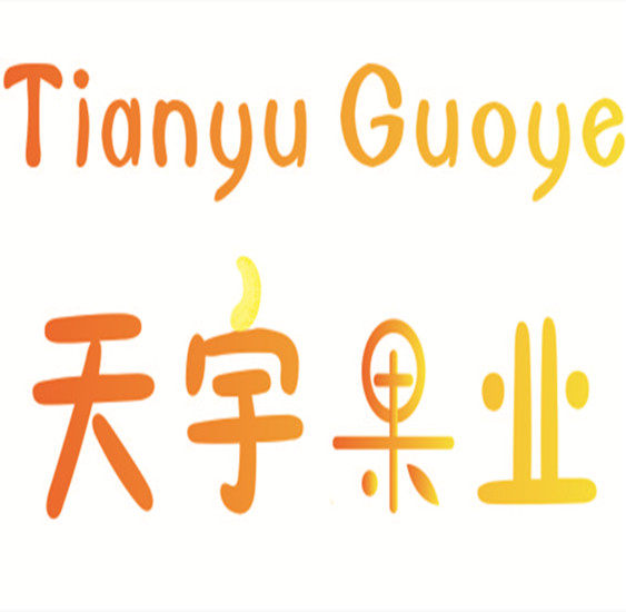 天宇果业新疆特产店的LOGO