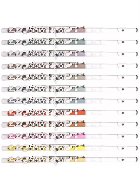 Guo Tocco Plus Guo Long flute for a long time