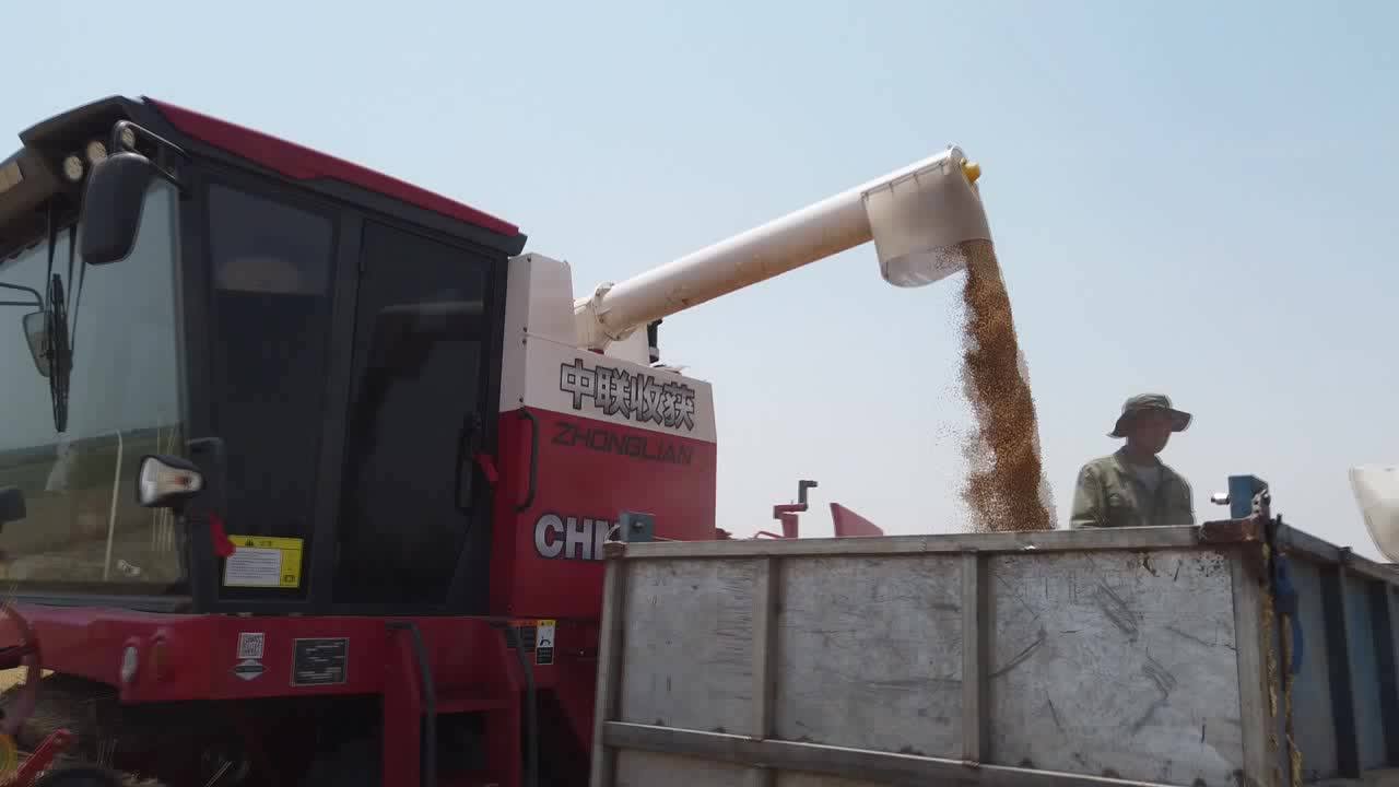 Zhonglian 4lz9b Wheat Combine Harvester,Multifunction Selfpropelled Grain Harvester,For Rice