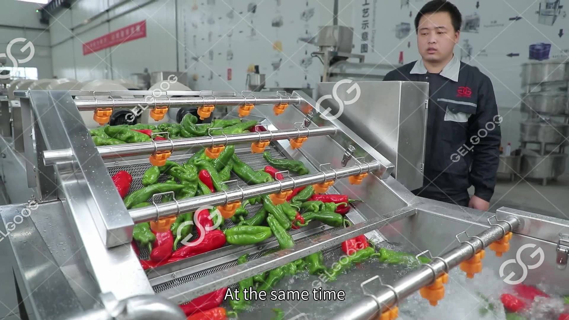 Vegetable Washer Machine Fruit And Vegetable Bubble Cleaning Machine